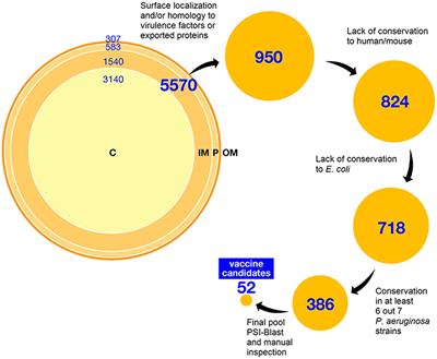 Genome-Based Approach Delivers Vaccine Candidates Against Pseudomonas aeruginosa